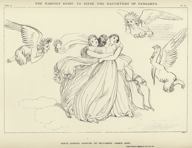 Le Arpie vanno a catturare le figlie di Pandaro da John Flaxman