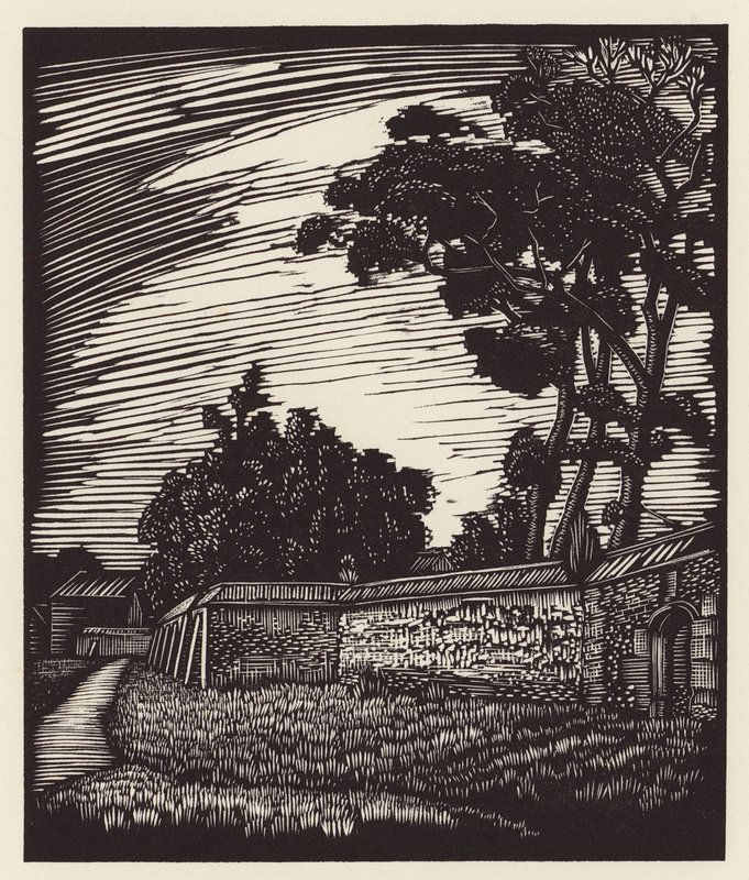Cambridge: Peterhouse Wall, Coe Fen (xilografia) da John Frederick Greenwood