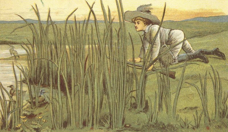 Ragazzo che caccia anatre da John George (after) Sowerby