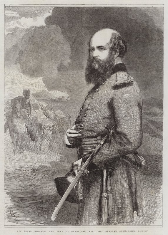 Sua Altezza Reale il Duca di Cambridge, KG, ecc, Comandante in Capo Generale da John Gilbert