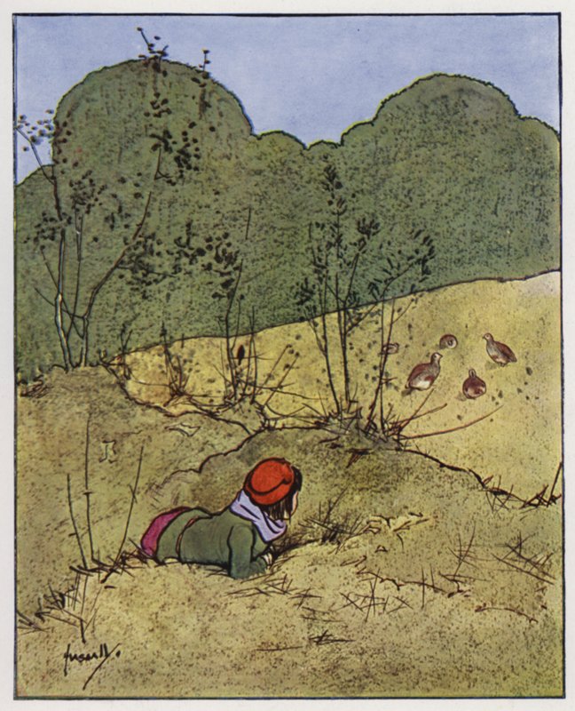 La pernice da John Hassall