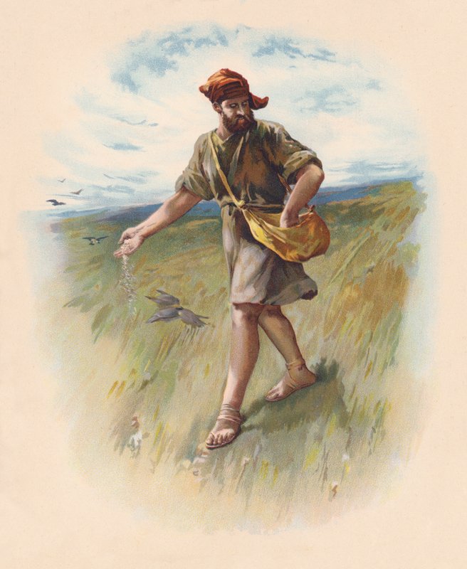 Il seminatore (litografia a colori) da John Lawson