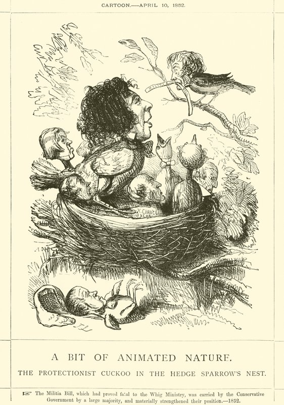 Un Pezzo di Natura Animata, Il Cuculo Protezionista nel Nido del Passero da John Leech
