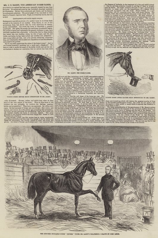Mr J S Rarey, il domatore di cavalli americano da John Leech
