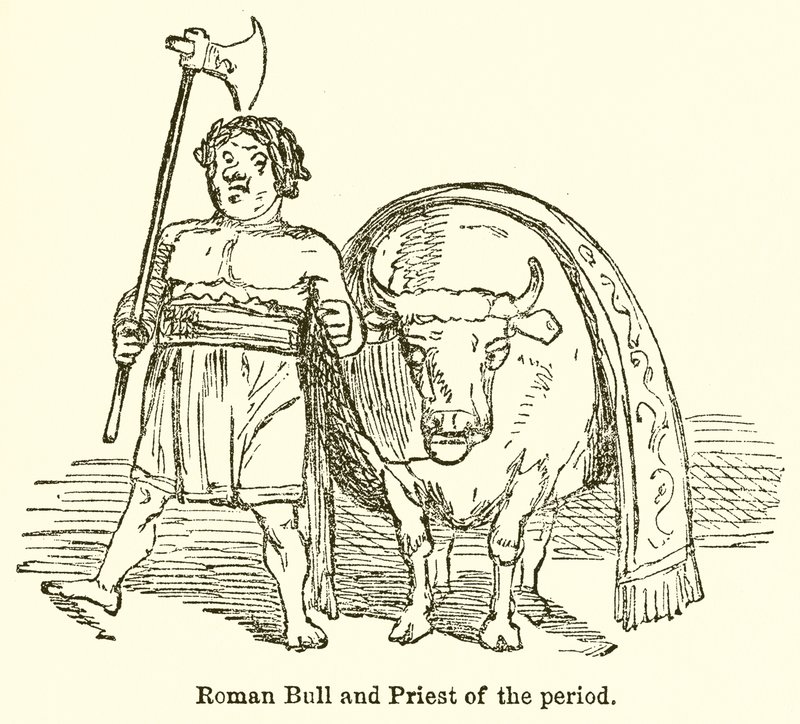 Toro romano e sacerdote del periodo da John Leech