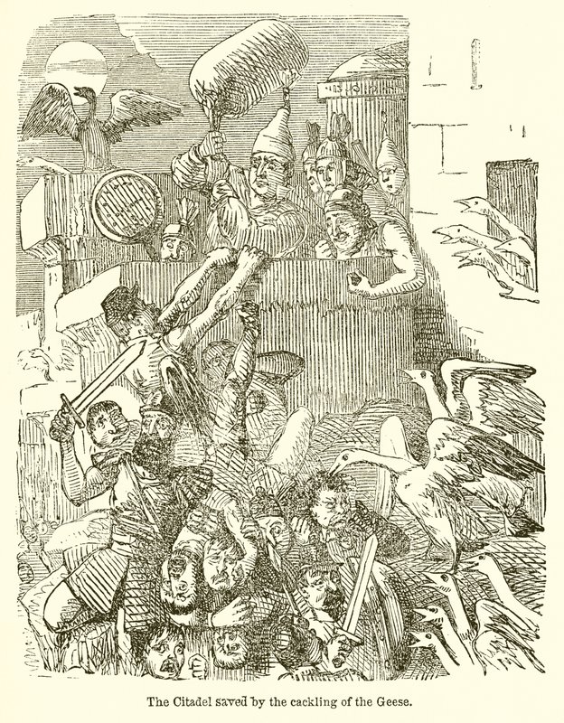 La Cittadella Salvata dal Gracchiare delle Oche da John Leech