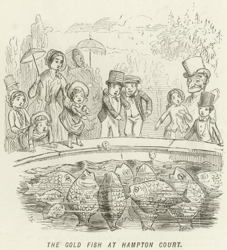 Il pesce rosso a Hampton Court da John Leech