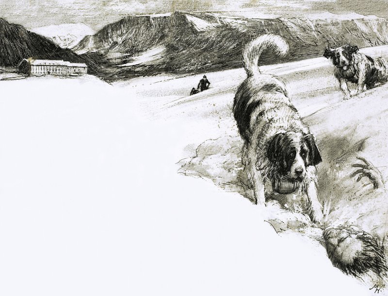 Ecco perché... Questi cani da montagna sono chiamati San Bernardo da John Millar Watt