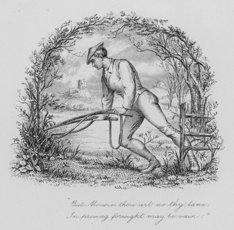 A un topo da John Moyr (attr.to) Smith