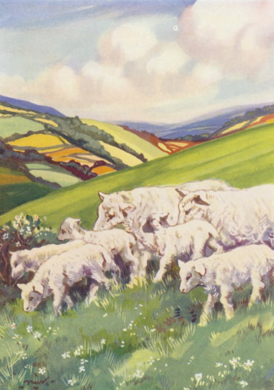 Illustrazione per Beautiful Joe di Marshall Saunders da John Nicholson