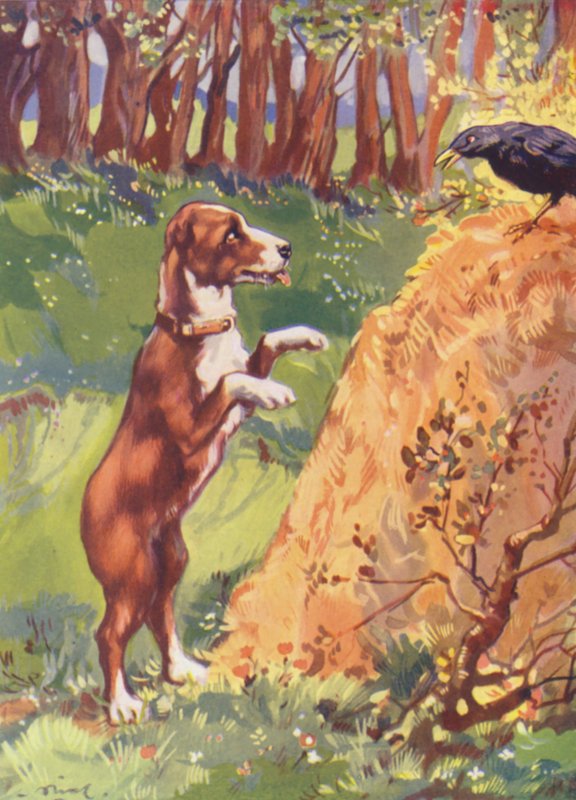 Illustrazione per Beautiful Joe di Marshall Saunders (litografia a colori) da John Nicholson