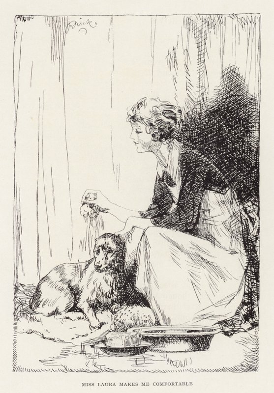 Illustrazione per Beautiful Joe di Marshall Saunders da John Nicholson