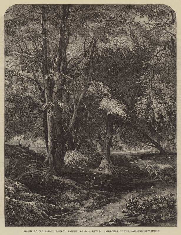 Rifugio del cervo da John Samuel Raven