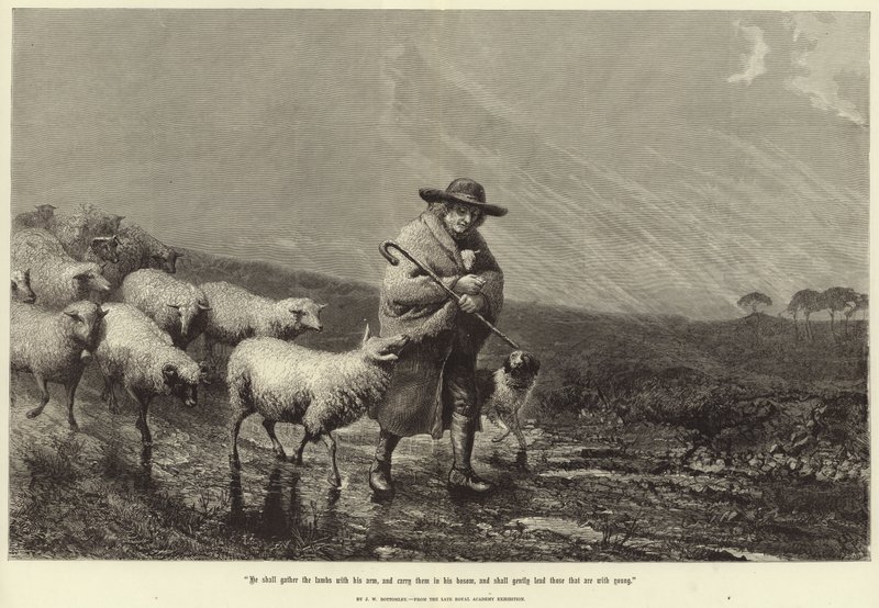 Egli raccoglierà gli agnelli con il suo braccio da John William Bottomley