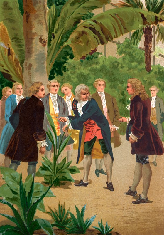Carl Linnaeus da Josep or Jose Planella Coromina