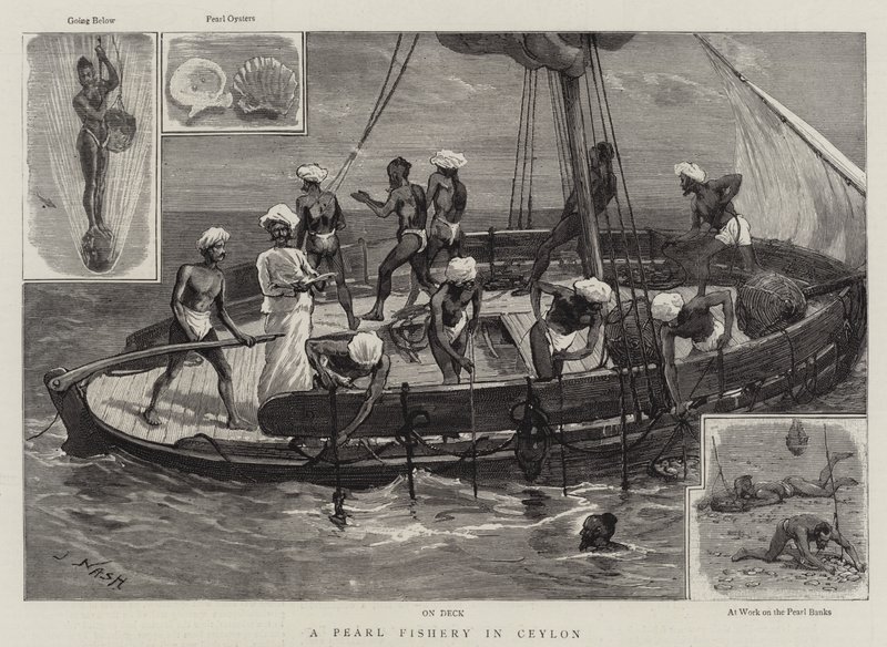 Una pesca di perle a Ceylon da Joseph Nash