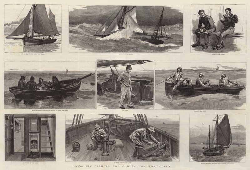 Pesca a Lunga Linea per il Merluzzo nel Mare del Nord da Joseph Nash