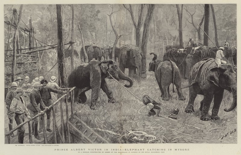 Il principe Alberto Vittorio in India da Joseph Nash