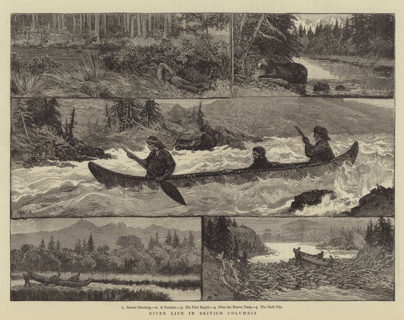 Vita fluviale in Columbia Britannica da Joseph Nash