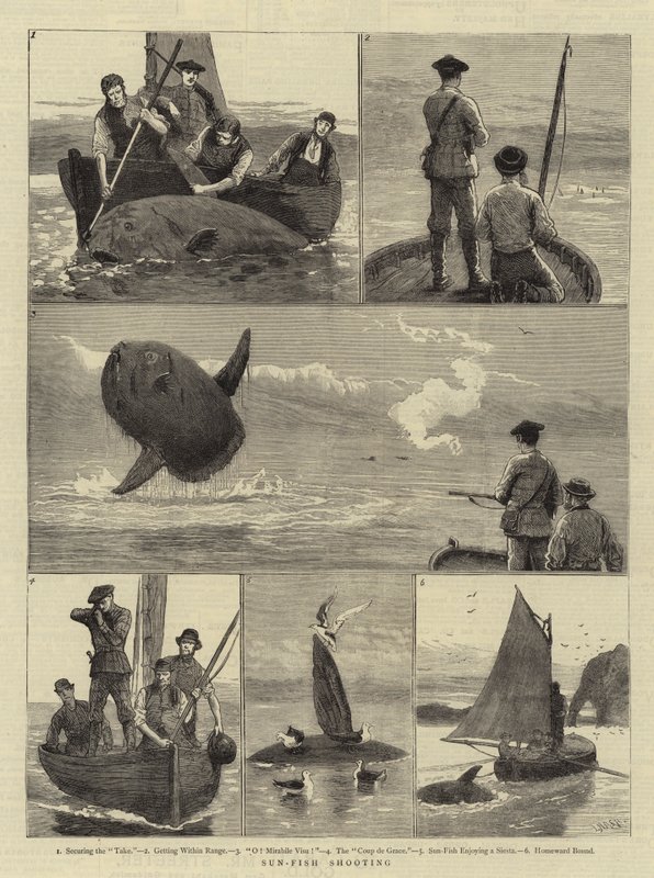 Caccia al pesce luna da Joseph Nash