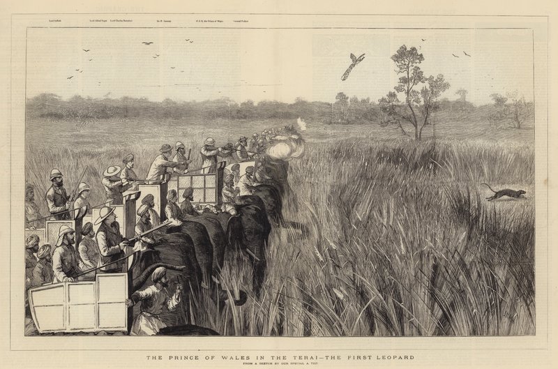 Il Principe di Galles nel Terai, il primo leopardo da Joseph Nash
