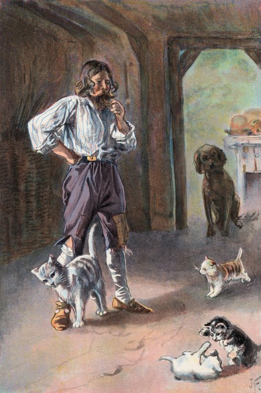 Robinson Crusoe: Il mio gatto ha portato a casa tre gattini da Joseph (after) Finnemore
