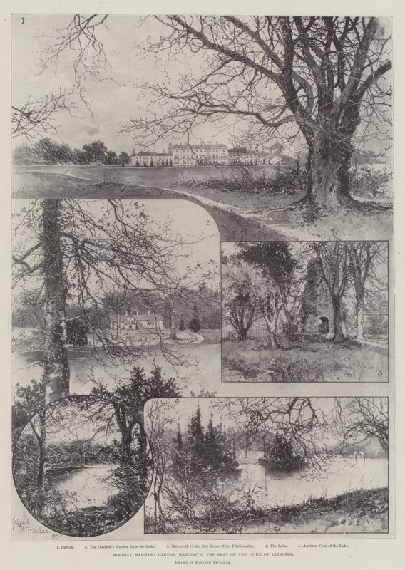 Luoghi di vacanza, Carton, Maynooth, la sede del Duca di Leinster da Joseph Holland Tringham