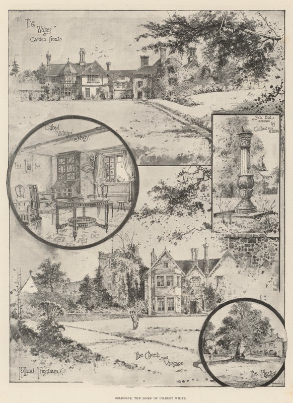 Selborne, la casa di Gilbert White da Joseph Holland Tringham