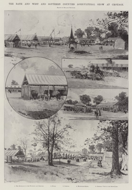 Mostra agricola di Bath e delle contee occidentali e meridionali a Croydon da Joseph Holland Tringham