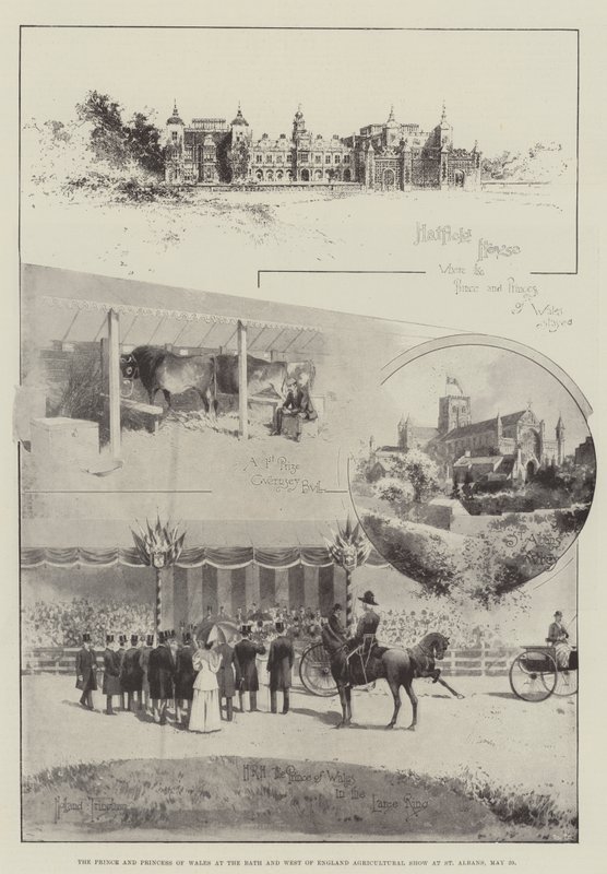Il principe e la principessa del Galles alla Fiera Agricola del Bath e del West of England a St Albans, 29 maggio da Joseph Holland Tringham