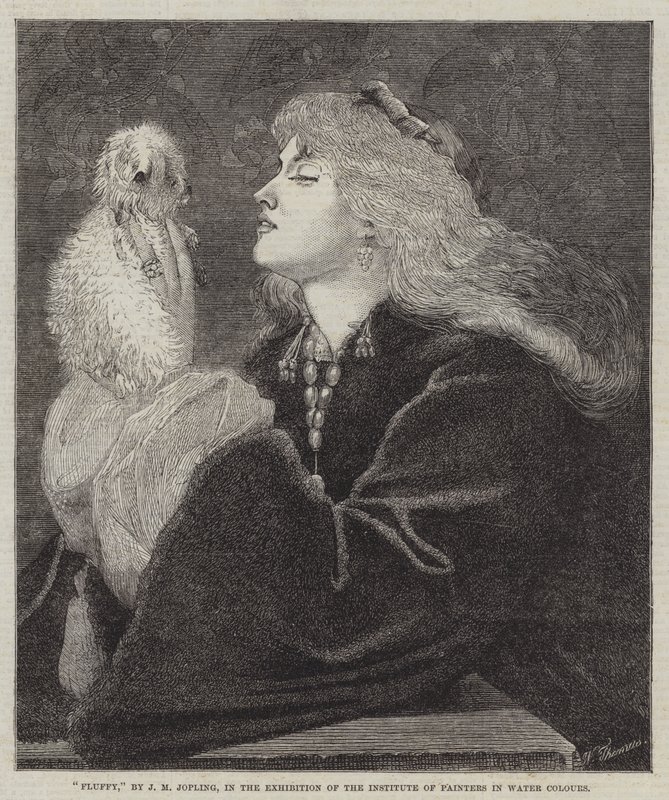 Fluffy da Joseph Middleton Jopling