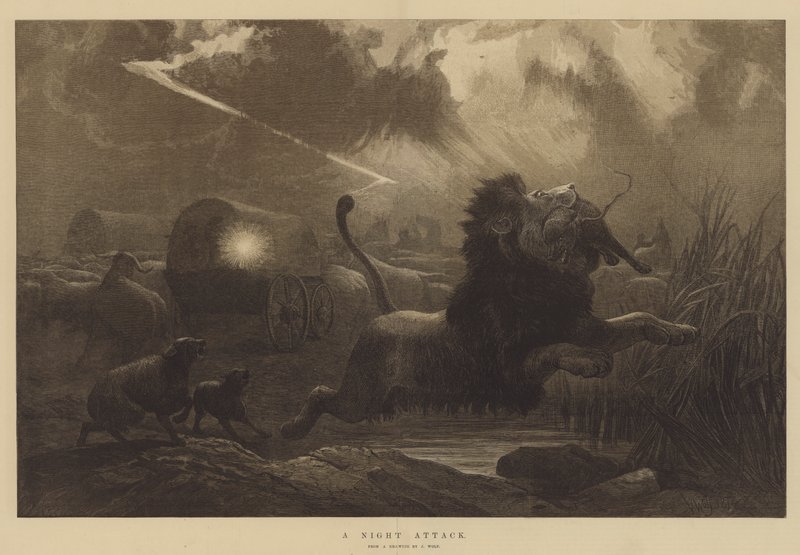 Un attacco notturno da Joseph Wolf