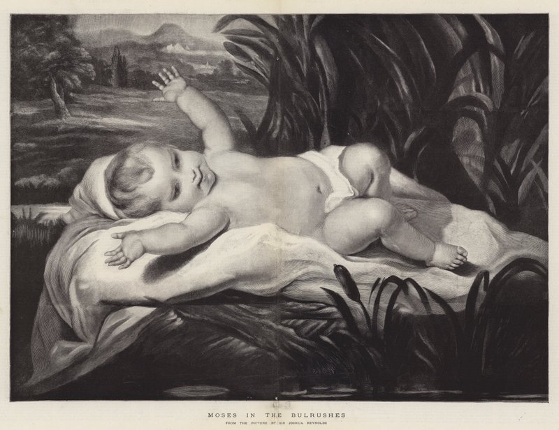 Mosè tra i giunchi da Joshua Reynolds