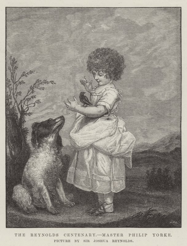 Il centenario di Reynolds, Master Philip Yorke da Joshua Reynolds