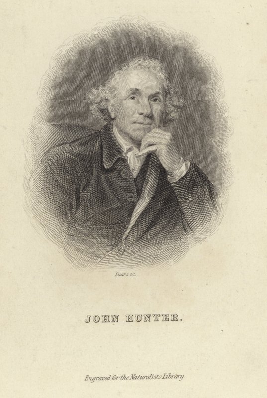 John Hunter da Joshua Reynolds