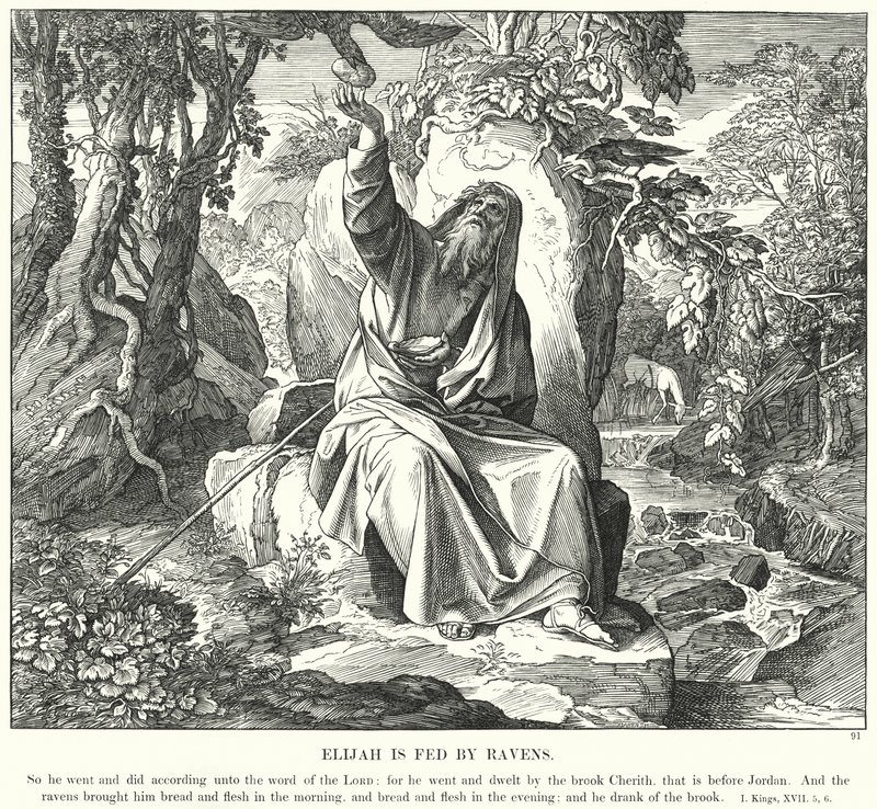 Elia Nutrito dai Corvi da Julius (after) Schnorr von Carolsfeld