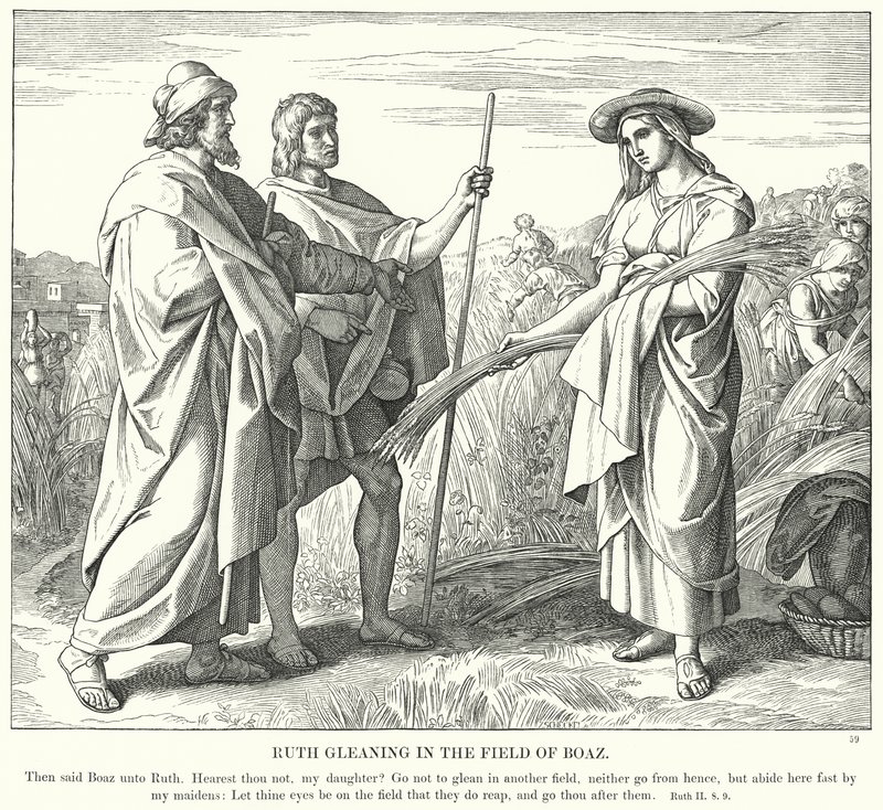 Ruth che spigola nel campo di Boaz (incisione) da Julius (after) Schnorr von Carolsfeld