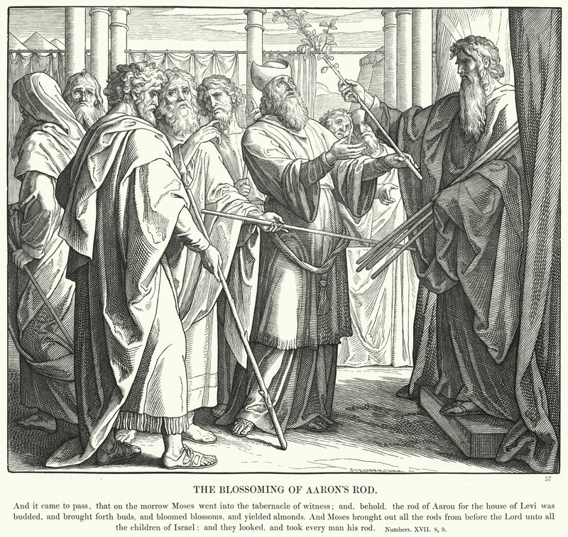La fioritura del bastone di Aronne (incisione) da Julius (after) Schnorr von Carolsfeld