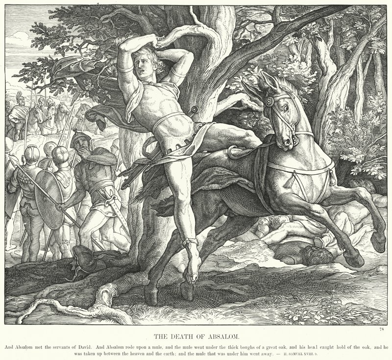 La morte di Assalonne (incisione) da Julius (after) Schnorr von Carolsfeld