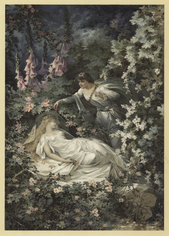 Illustrazione per Sogno di una notte di mezza estate da Julius Hoeppner