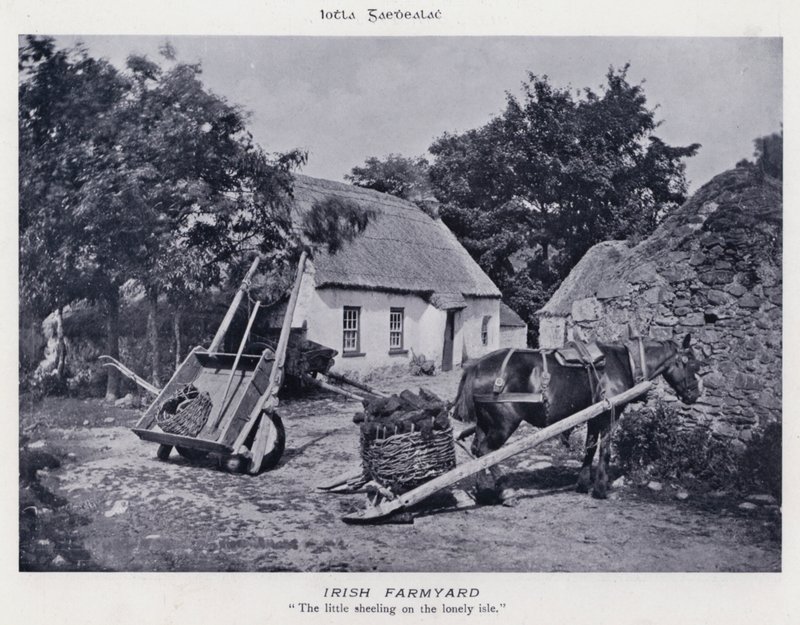 Cortile di Fattoria Irlandese da Karl Karlovich Piratsky