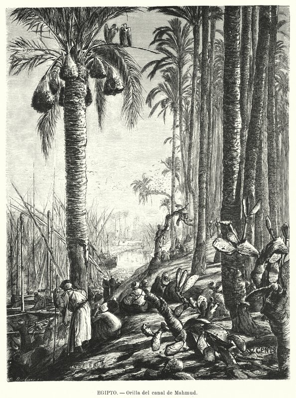 Sponde del canale Mahmoudiyah, Egitto da Karl Wilhelm Gentz