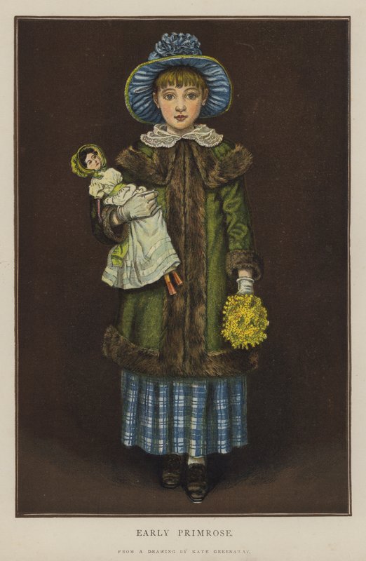 Primula precoce da Kate (after) Greenaway