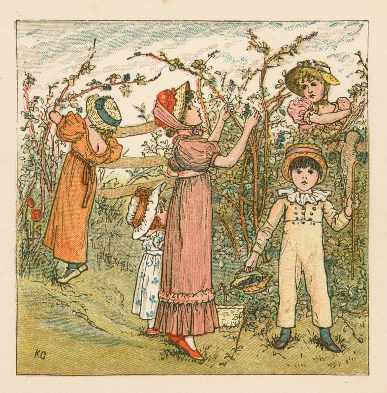 Raccolta di more da Kate Greenaway