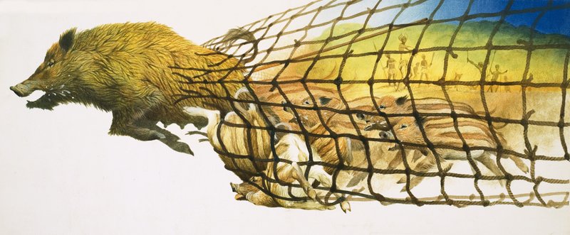Un cinghiale squarcia la rete di un cacciatore da Kenneth Lilly