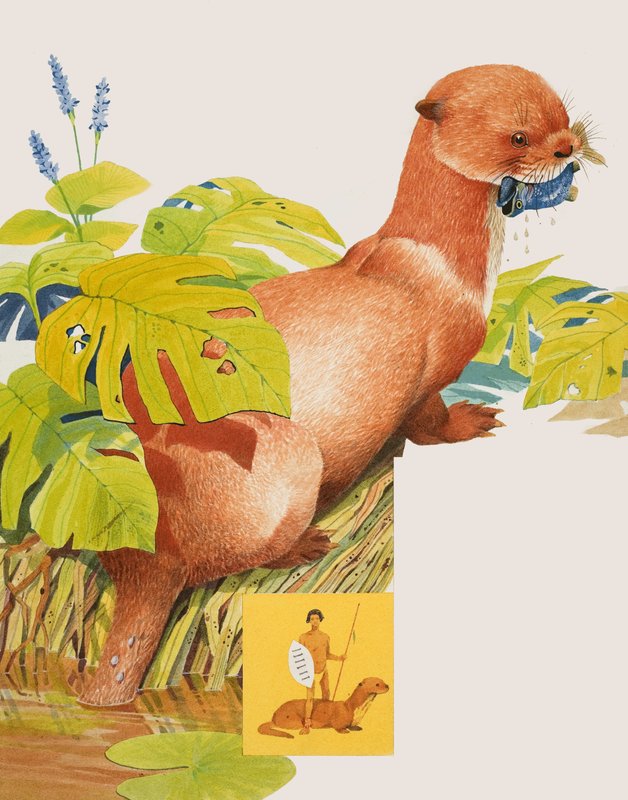 Il Saro da Kenneth Lilly