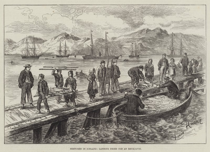 Schizzi in Islanda, sbarco di merluzzo essiccato a Reykjavik da L. Huard