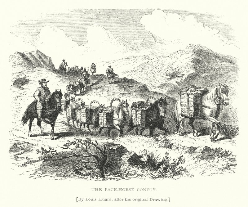 Il convoglio di cavalli da soma da L. Huard