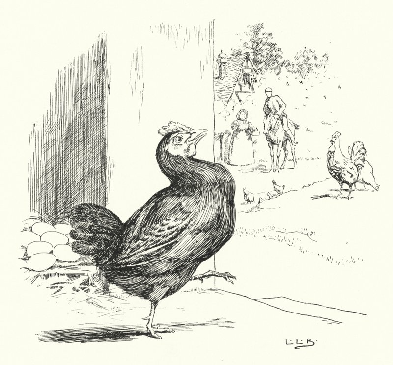 Higgley Piggley, la mia gallina nera da Leonard Leslie Brooke