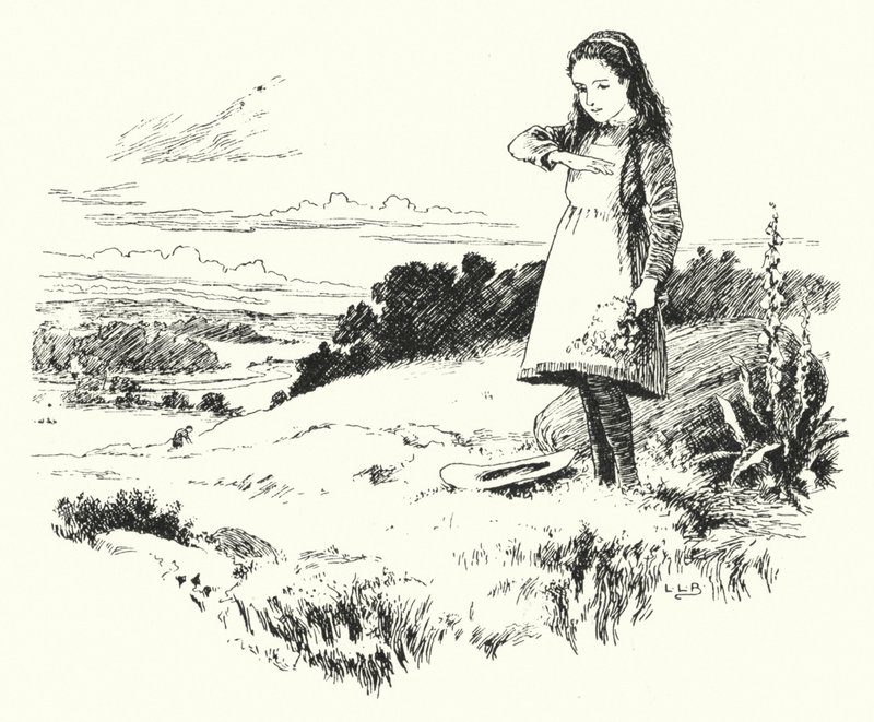 Coccinella, coccinella, vola a casa da Leonard Leslie Brooke